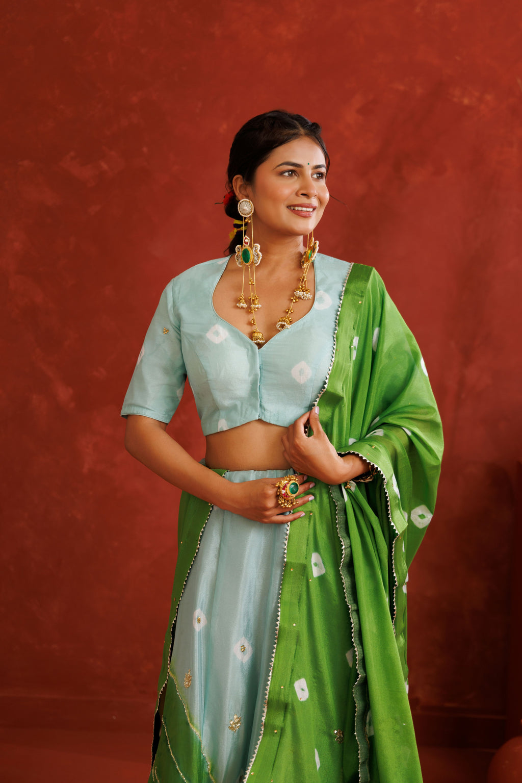 Blue and Green Leheriya Chinon Embroidered Lehenga Set