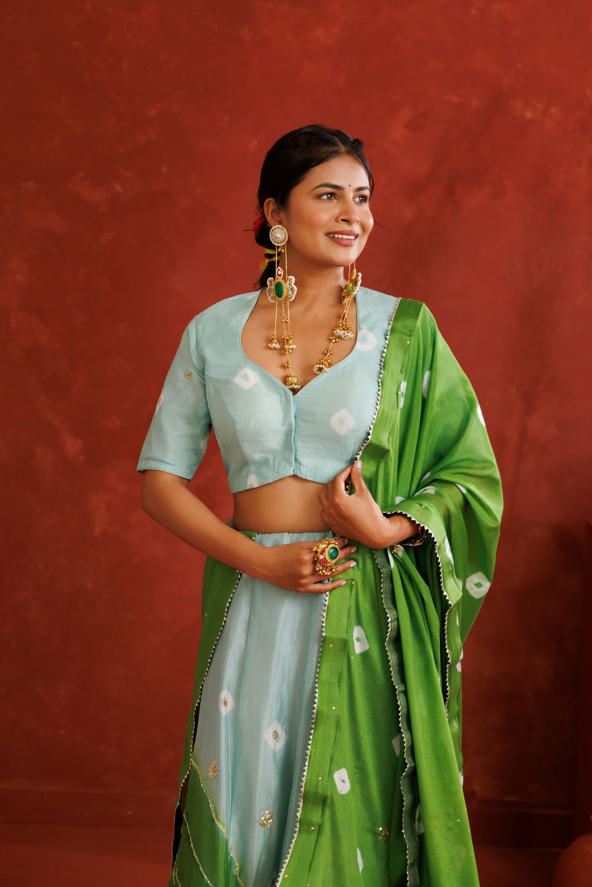 Blue and Green Leheriya Chinon Embroidered Lehenga Set