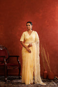 Beige Chiffon Hand Embroidered Sequins Jaal Saree
