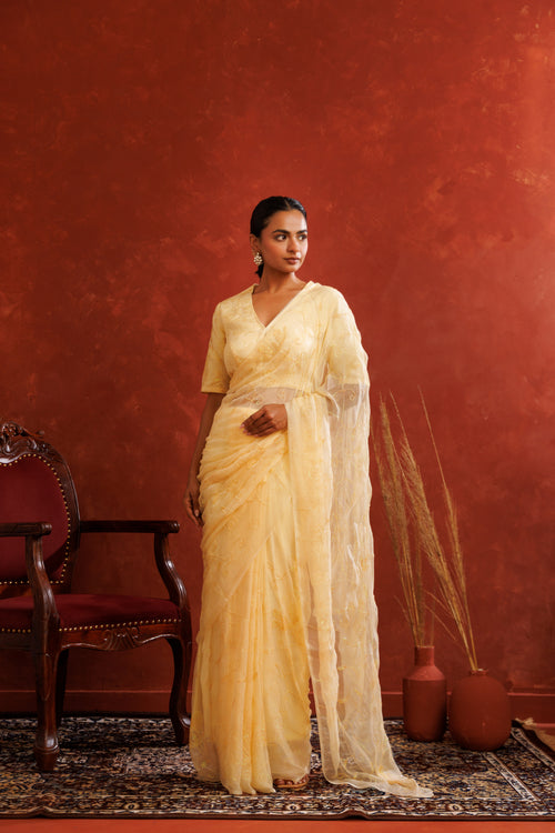 Beige Chiffon Hand Embroidered Sequins Jaal Saree