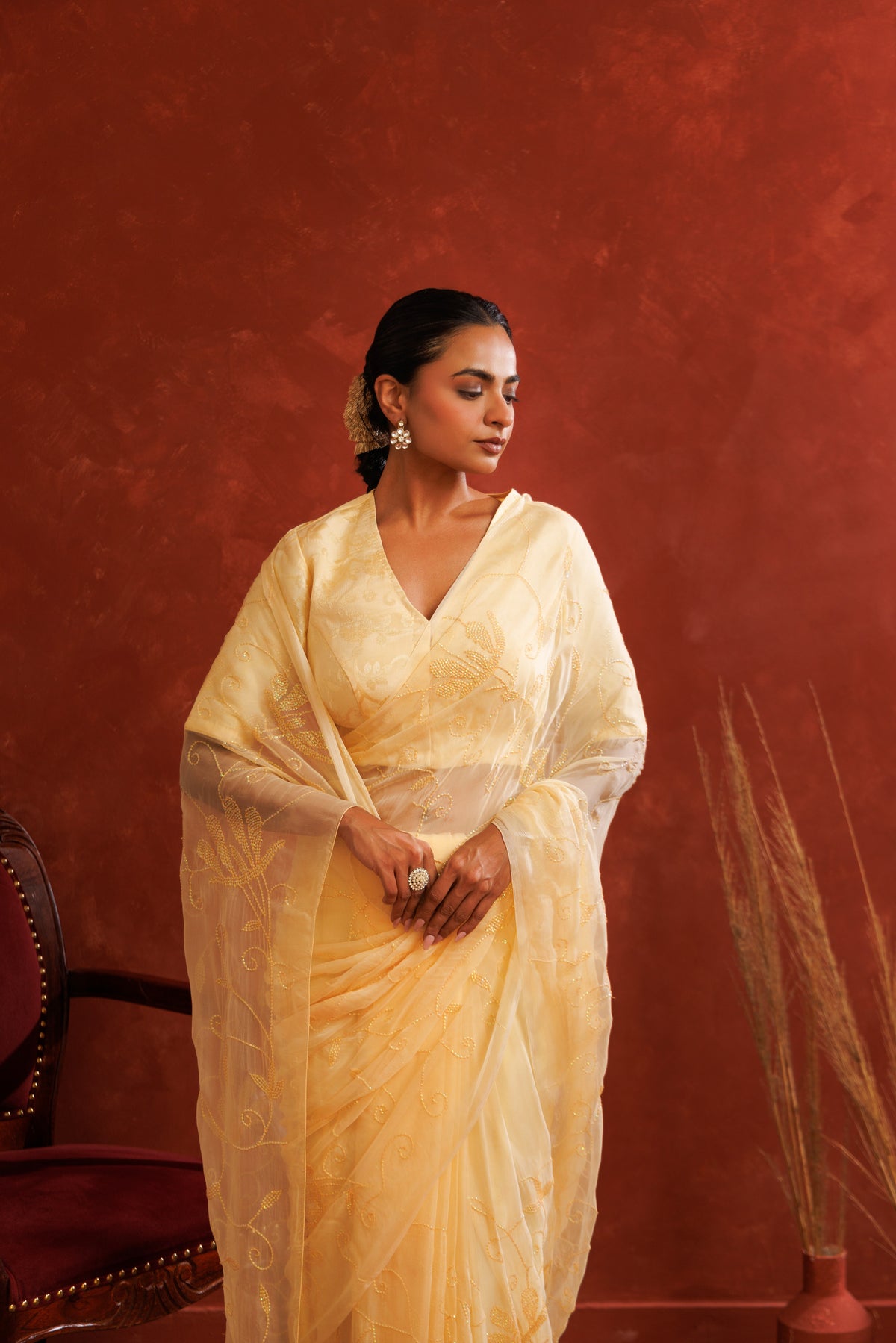 Beige Chiffon Hand Embroidered Sequins Jaal Saree
