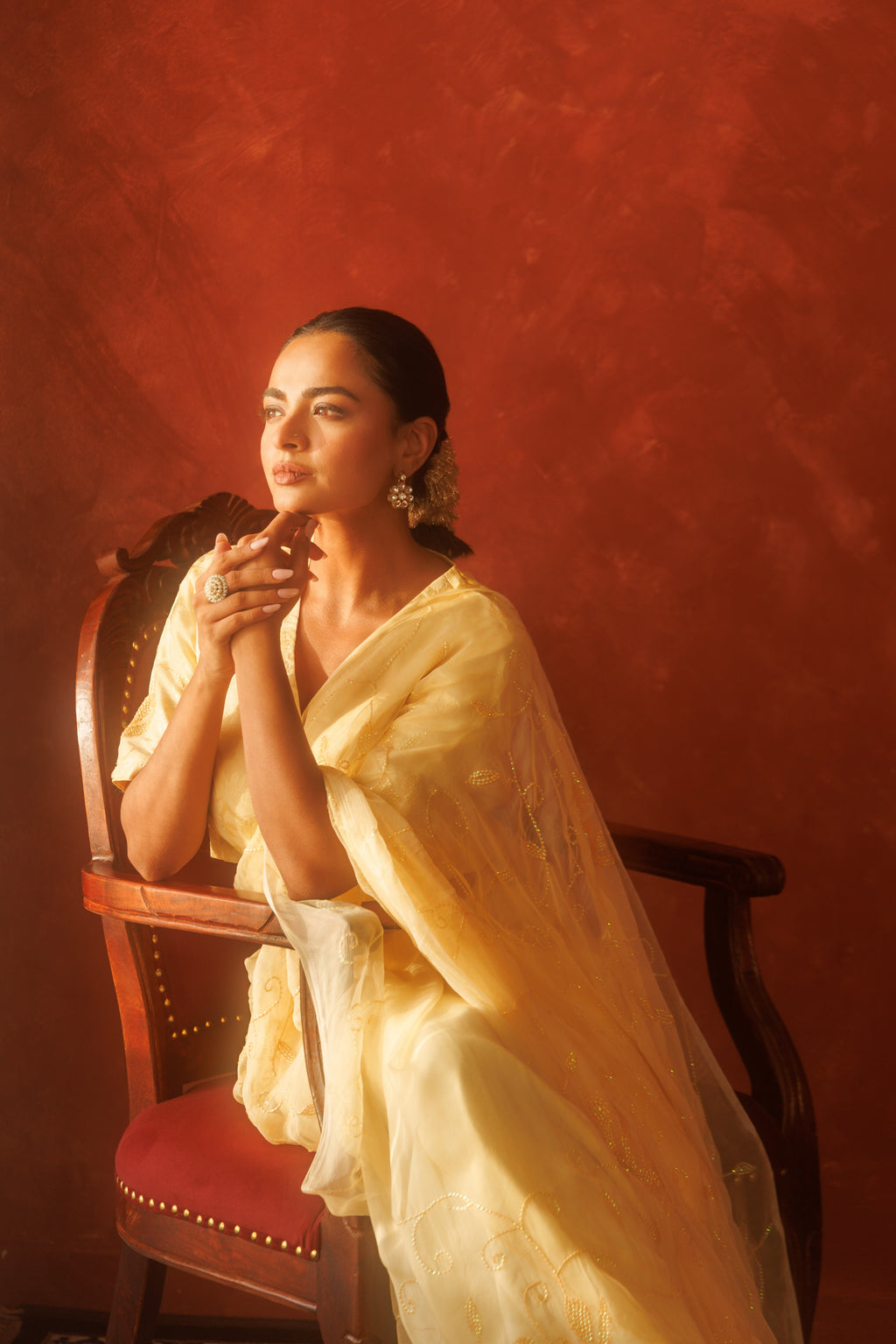 Beige Chiffon Hand Embroidered Sequins Jaal Saree