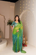 Green Multi color Chiffon Saree with Aari & Sequin Work