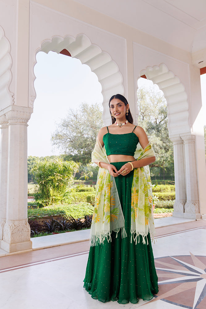 Green Chiffon Lehenga Set With Mukaish Work & Hand Painted Organza Dupatta