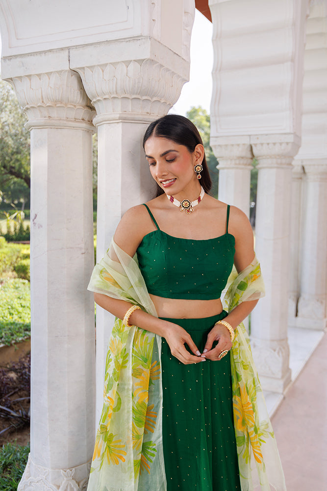 Green Chiffon Lehenga Set With Mukaish Work & Hand Painted Organza Dupatta