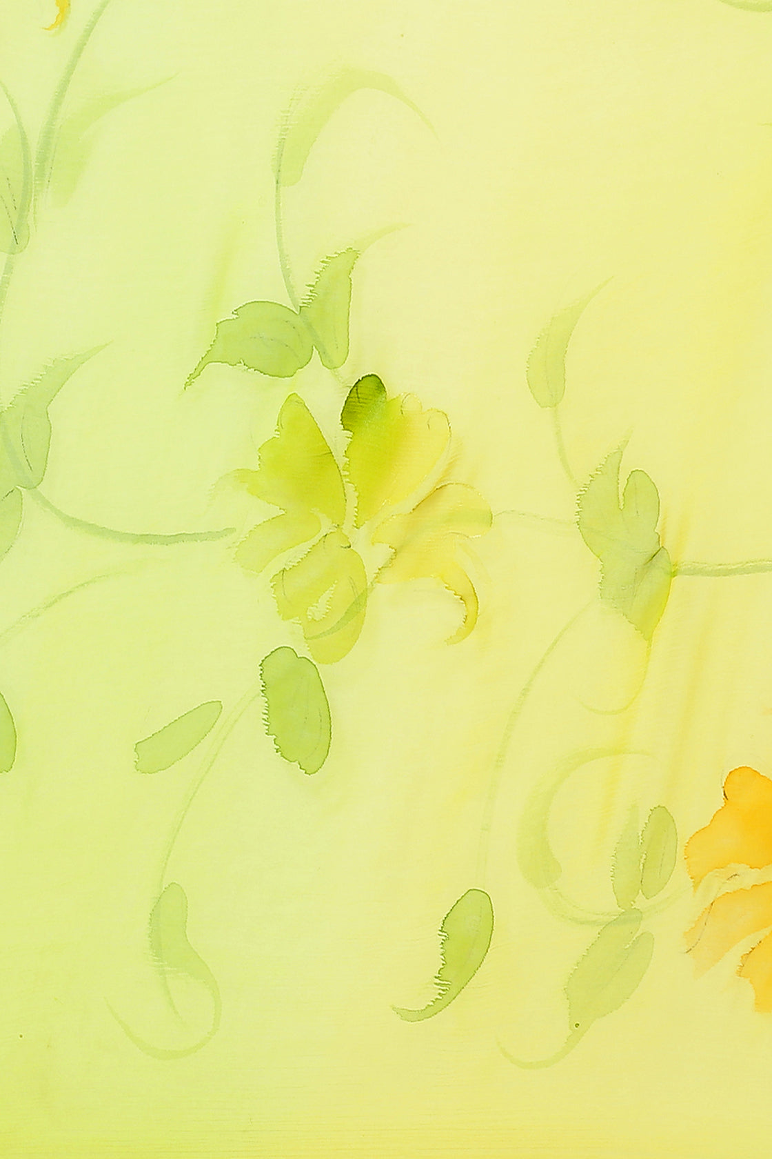 Yellow & Lime Hand Painted Floral Chiffon Saree