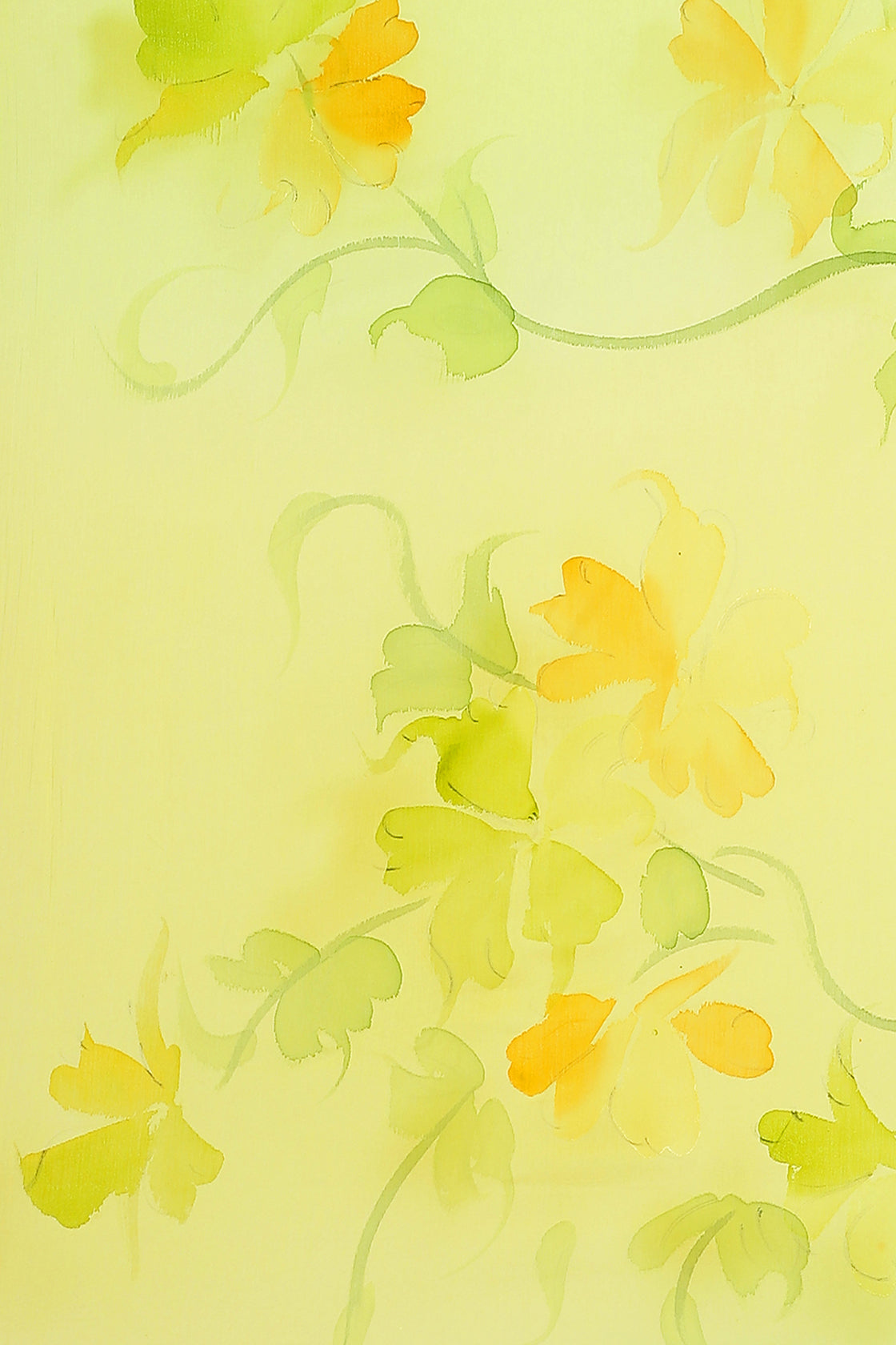 Yellow & Lime Hand Painted Floral Chiffon Saree