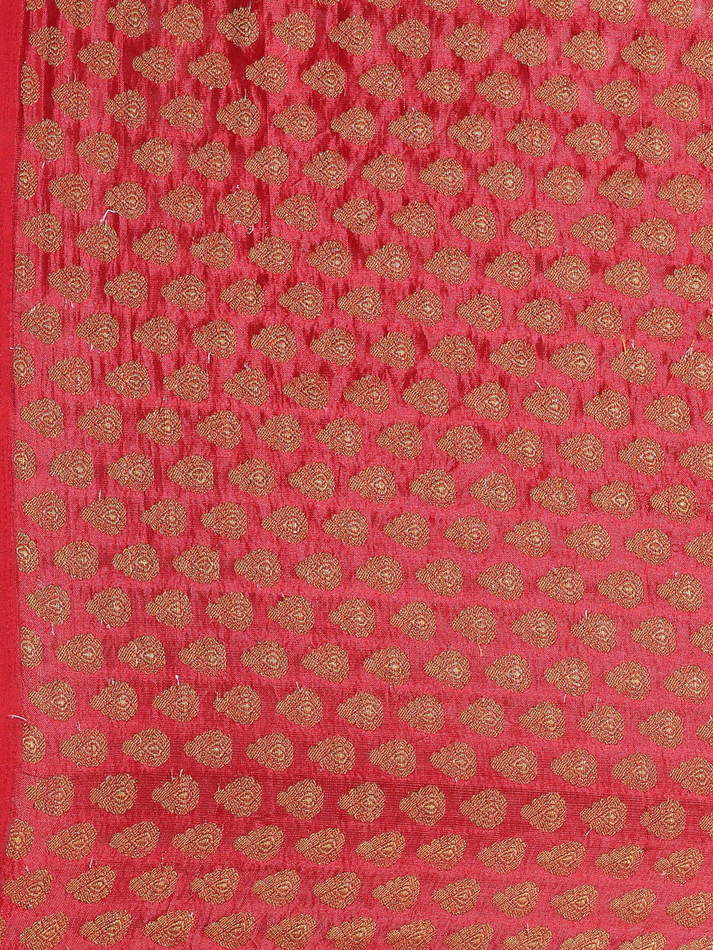 Red & Black Hand Dyed Bandhani Zari Work Chiffon Saree