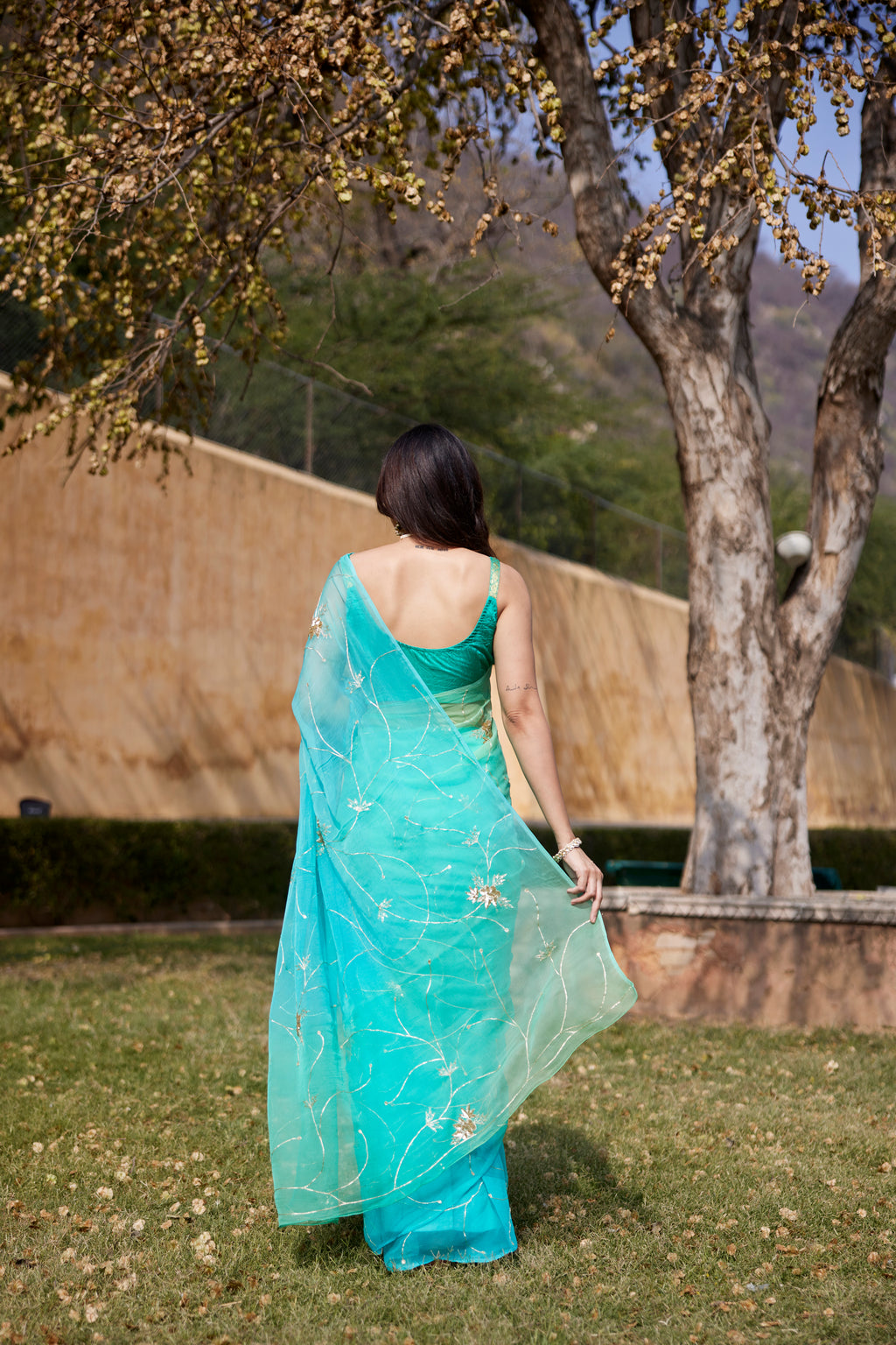 Green-Blue Shaded Hand Embroidered Jaal Chiffon Saree