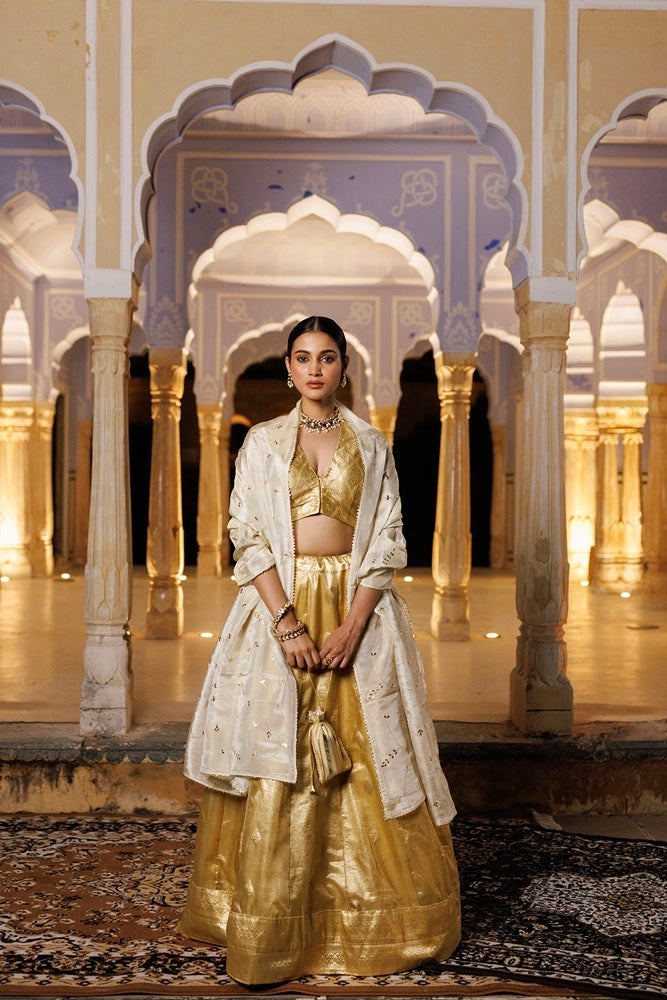 Serene Golden & Beige Tissue Lehenga Set