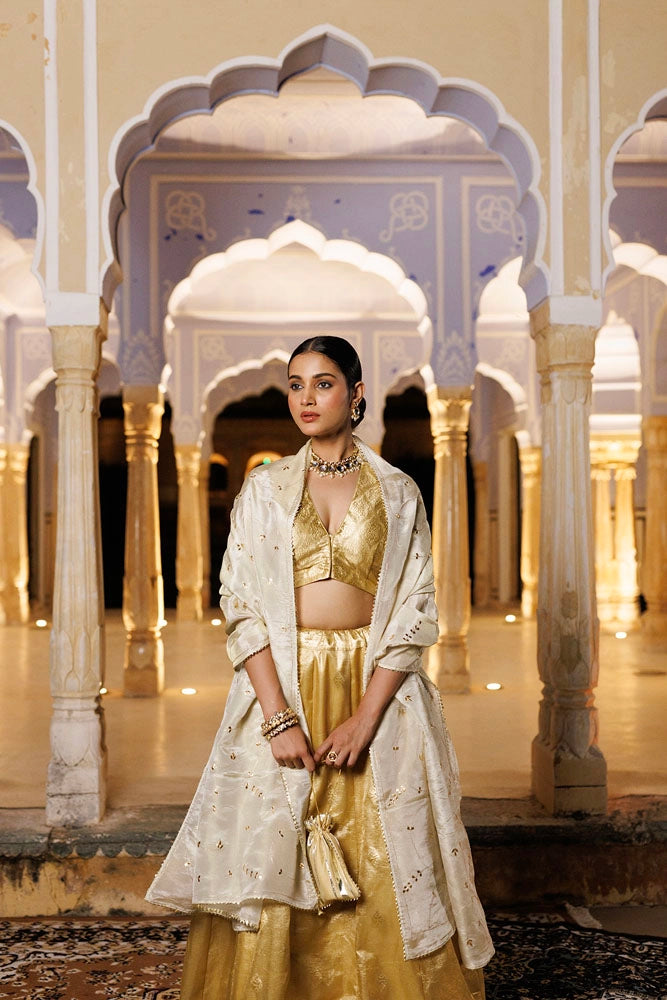 Serene Golden Tissue Lehenga