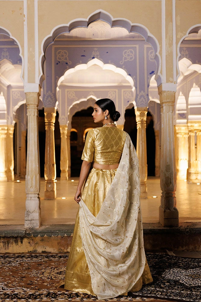 Serene Golden Tissue Lehenga