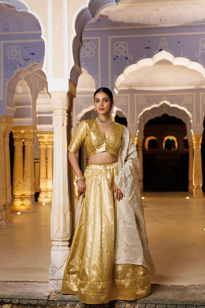 Serene Golden Tissue Lehenga