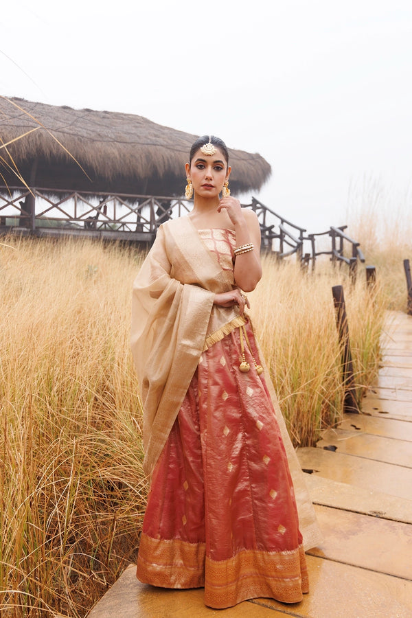 Serene Peach and Beige Tissue Lehenga
