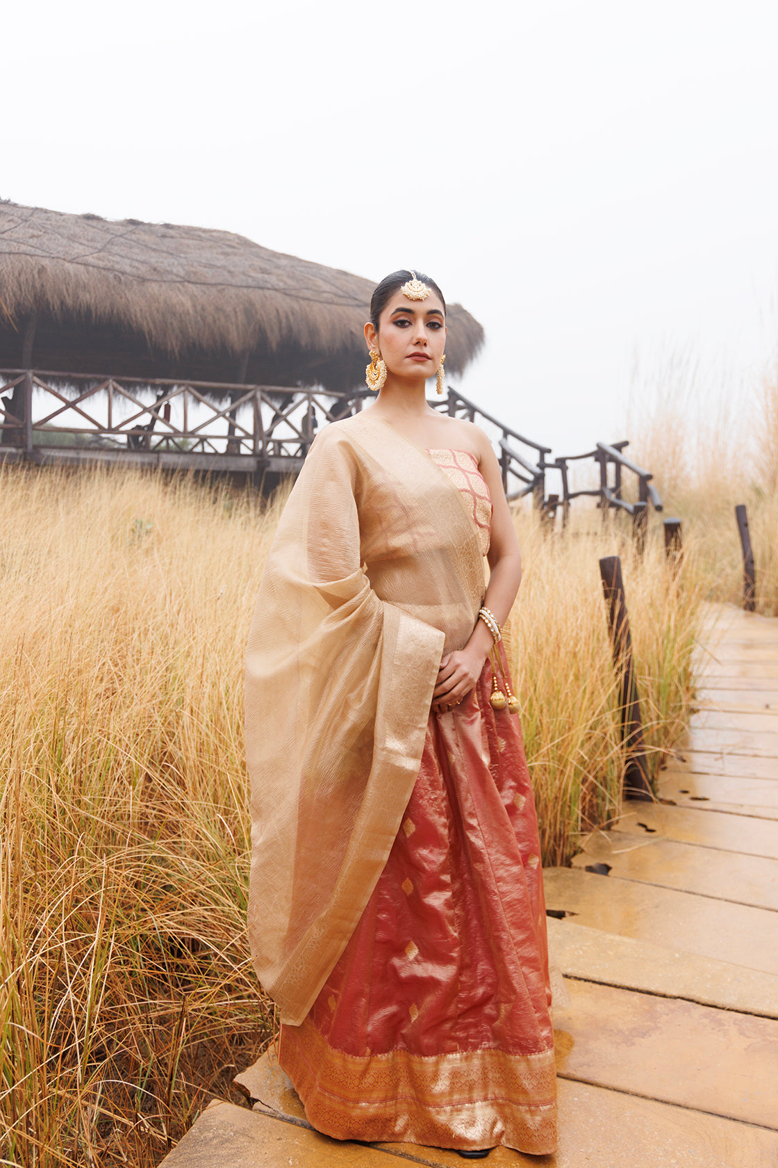 Serene Peach & Beige Tissue Lehenga Set