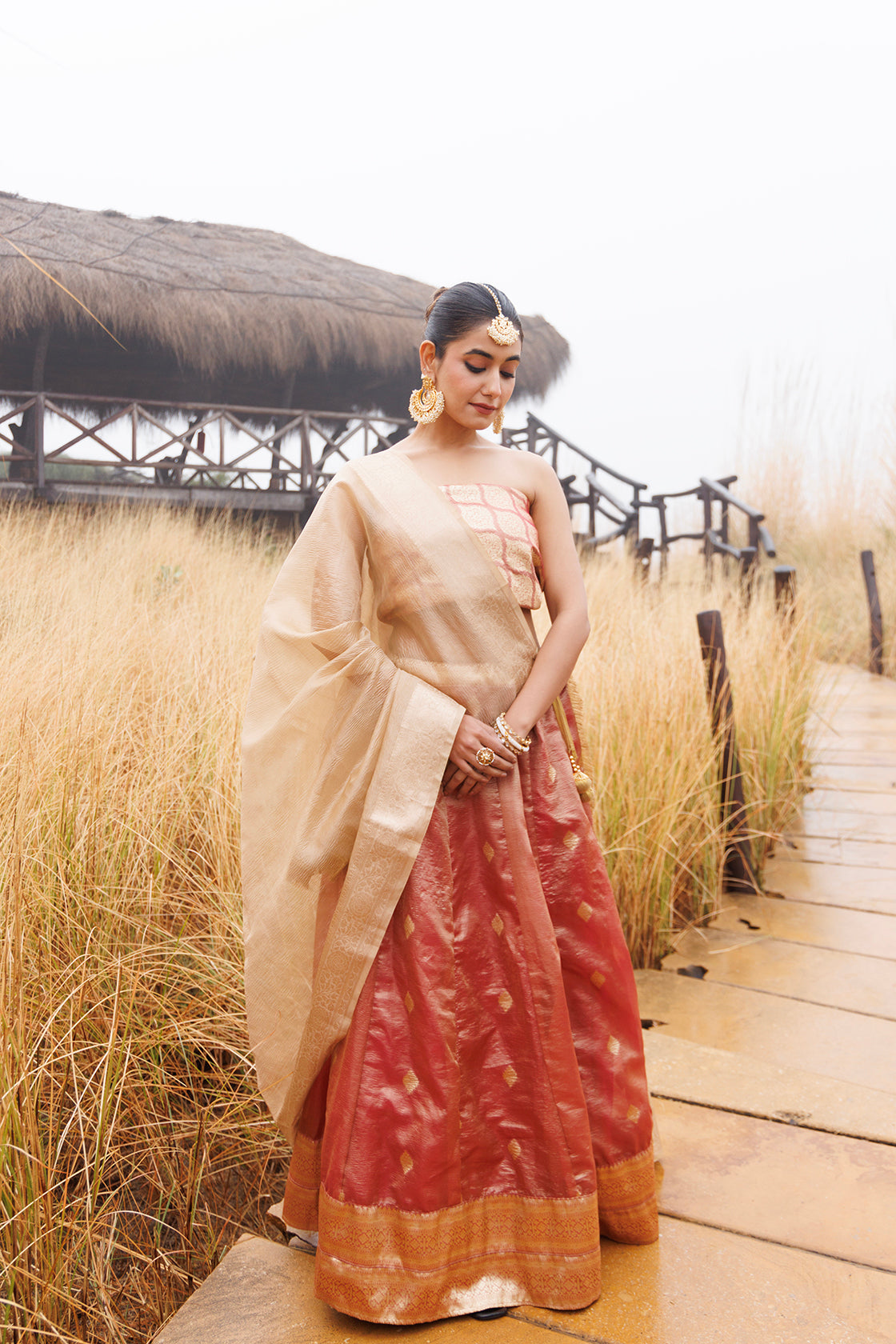 Serene Peach & Beige Tissue Lehenga Set