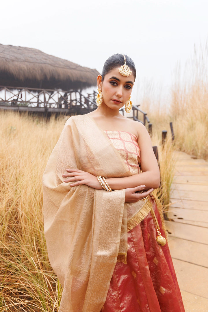 Serene Peach and Beige Tissue Lehenga