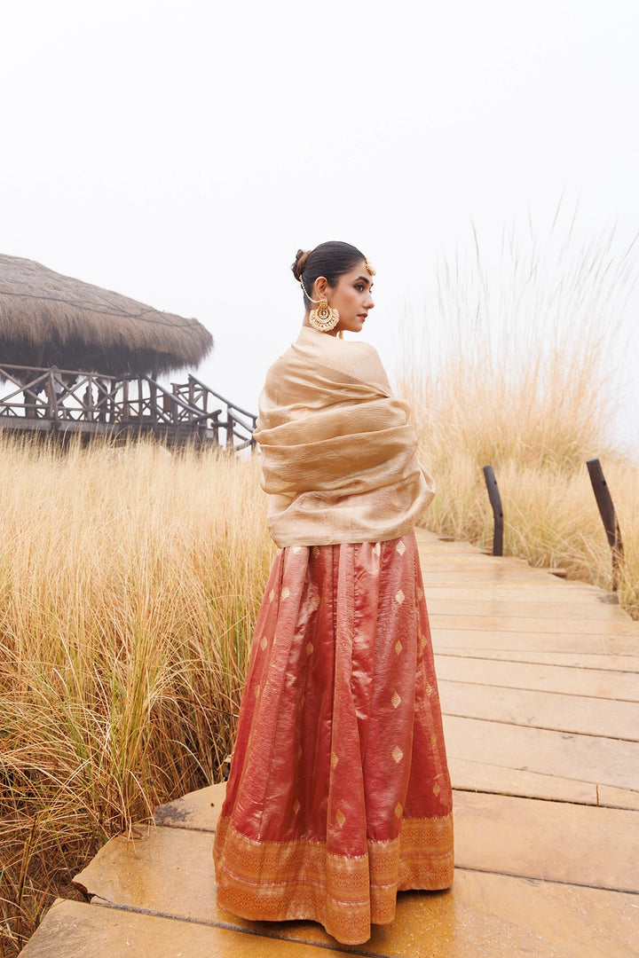 Serene Peach and Beige Tissue Lehenga