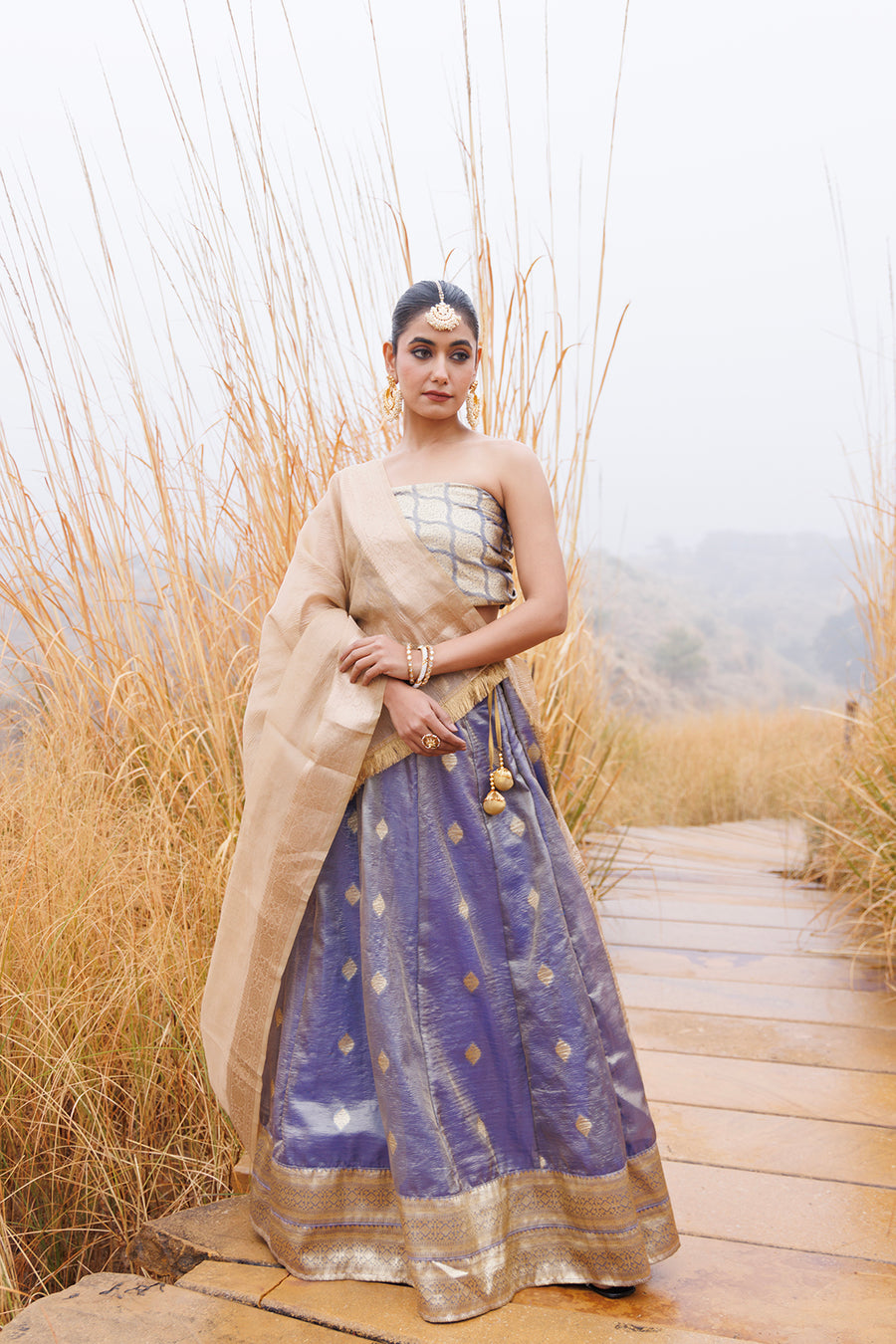 Serene Blue & Beige Tissue Lehenga Set