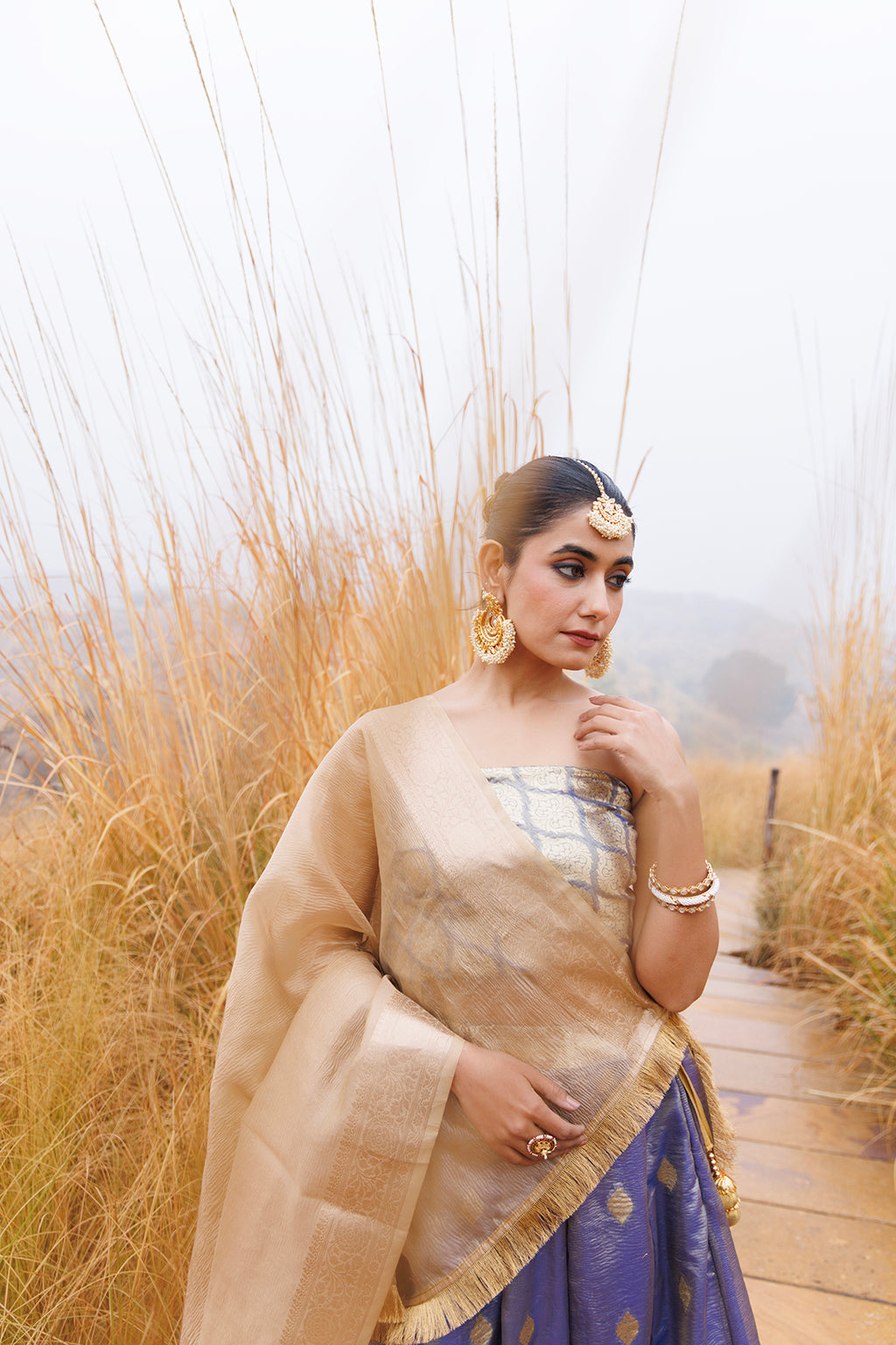 Serene Blue & Beige Tissue Lehenga Set