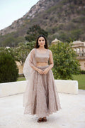 Mud Sequins Embroidered Organza Lehenga Set