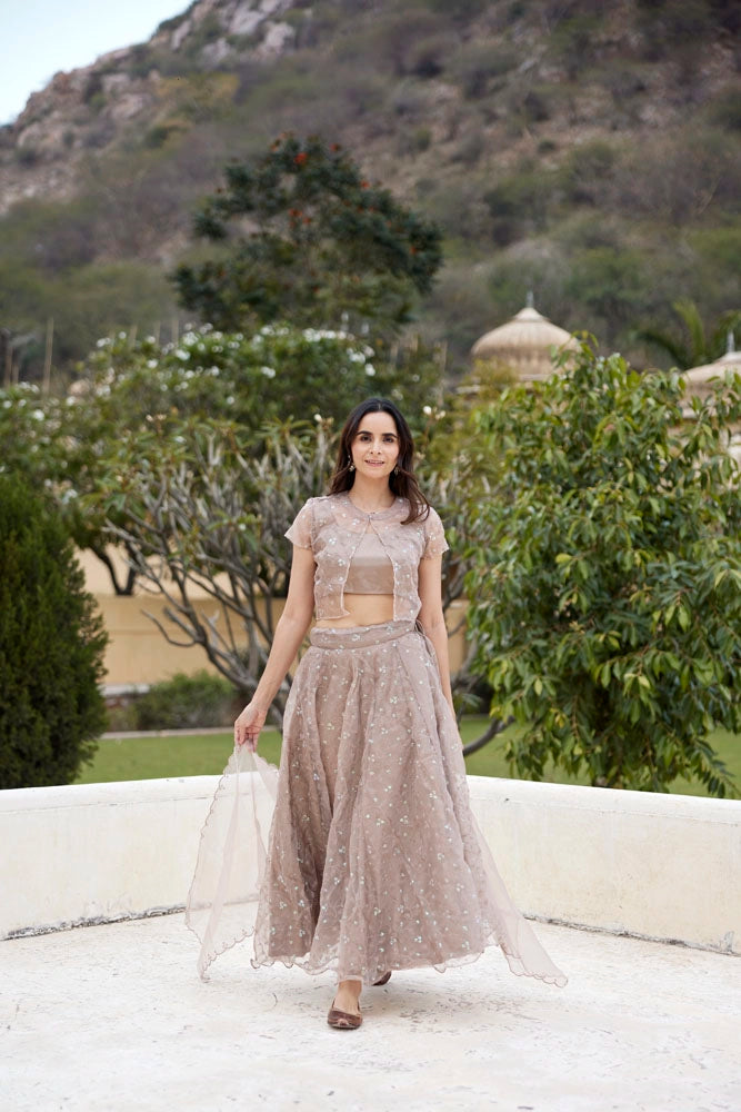 Mud Sequins Embroidered Organza Lehenga Set