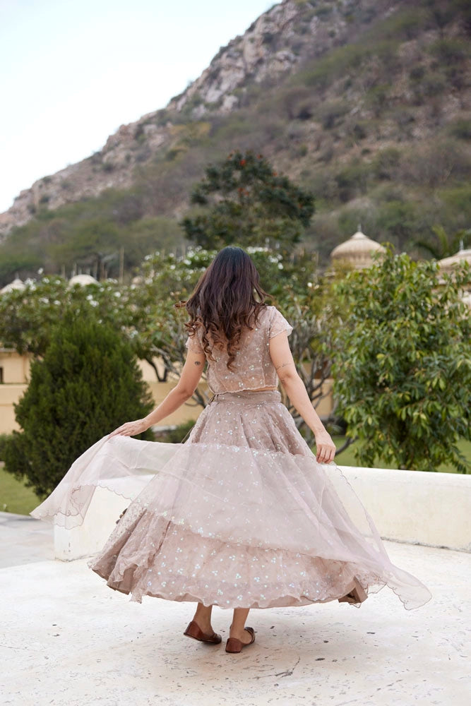 Mud Sequins Embroidered Organza Lehenga Set