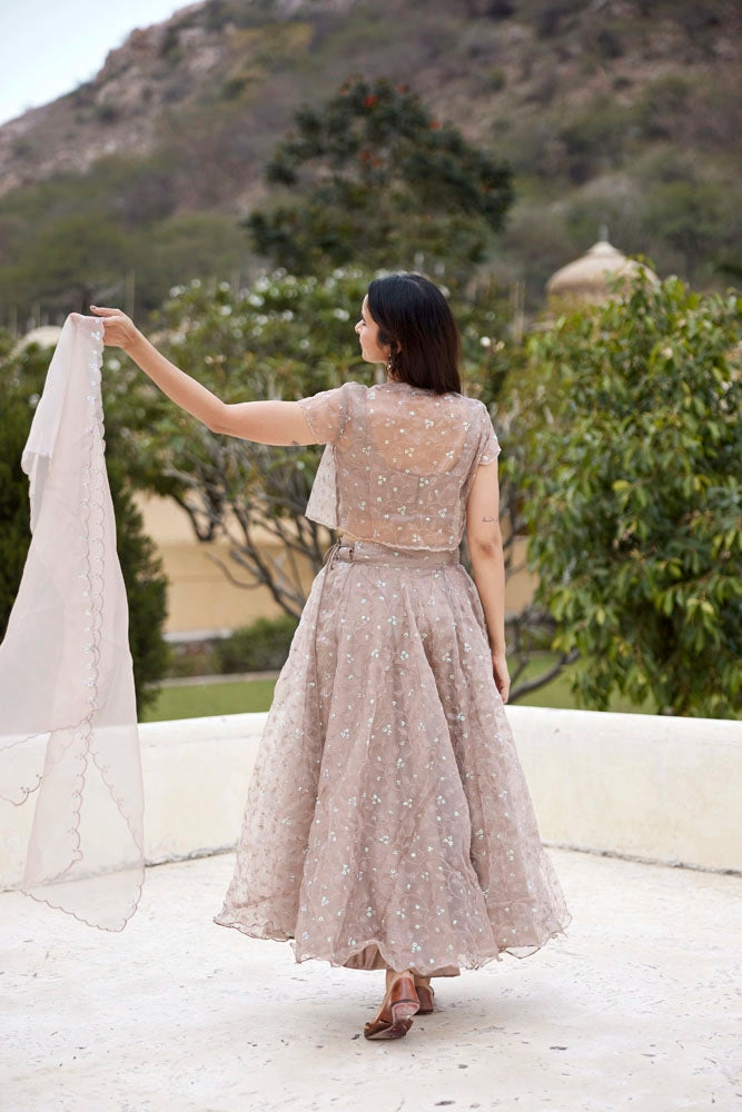 Mud Sequins Embroidered Organza Lehenga Set