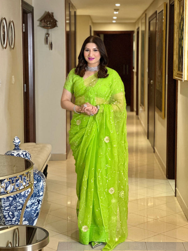 Green Hand Embroidered Aari Work Chiffon Saree