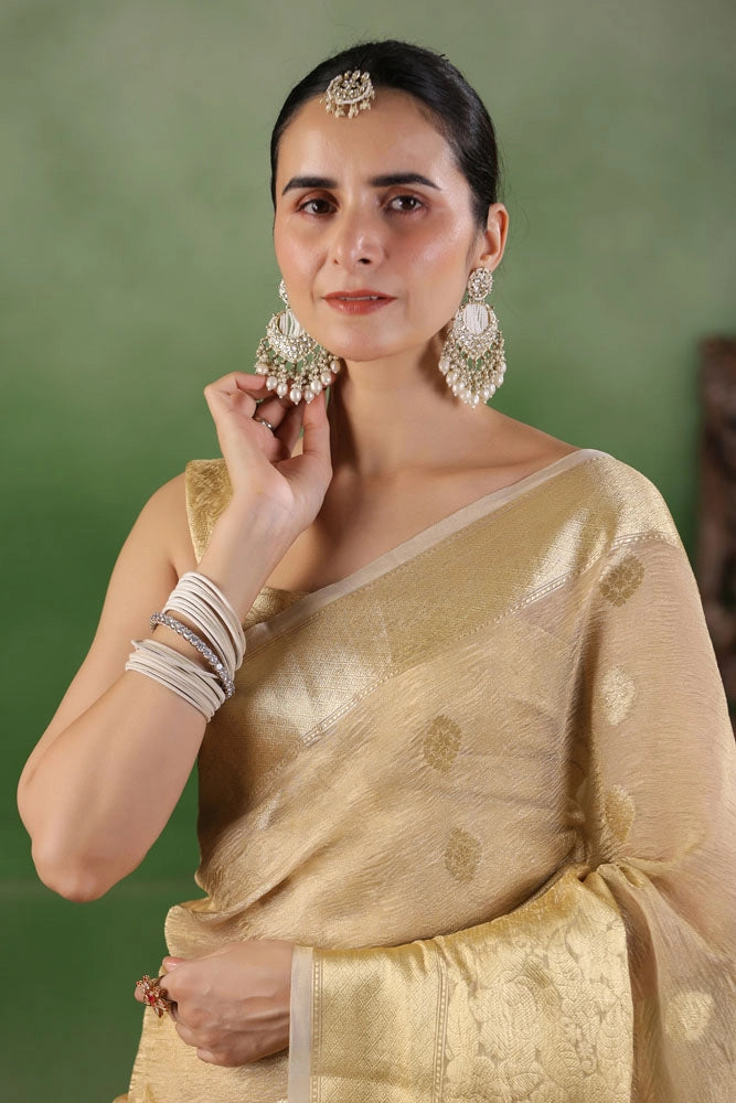 Beige Floral Tissue Saree