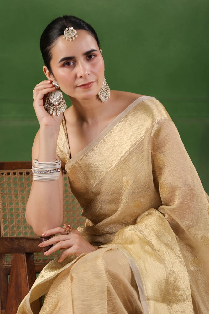 Beige Floral Tissue Saree