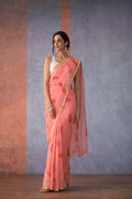 Peach Hand Painted Chiffon Saree