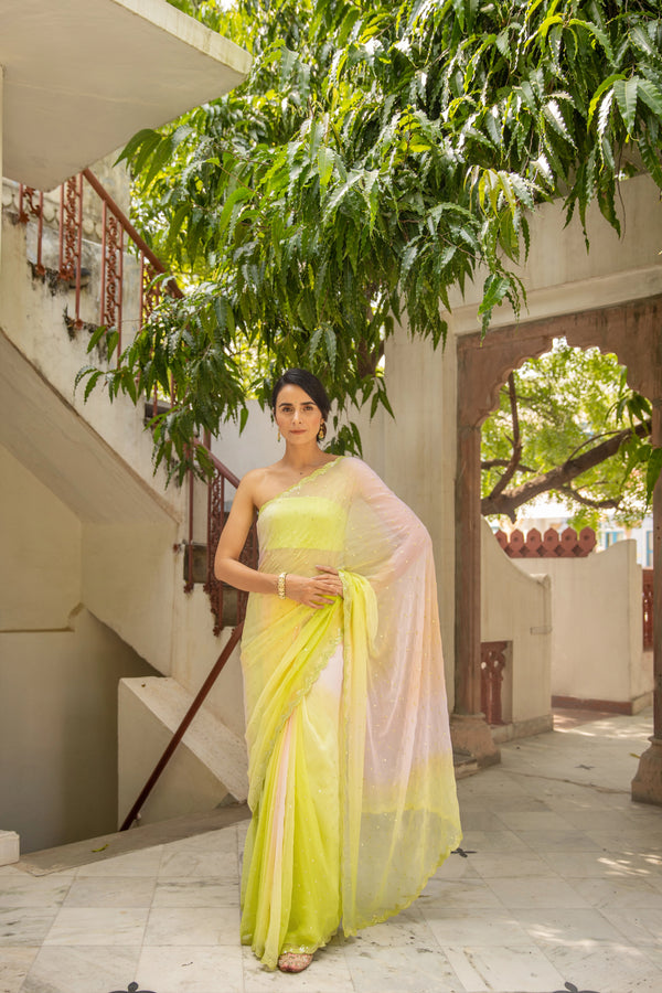 Subhashree Ganguly in Multicolor Hand Embroidered Mirror Work Chiffon Saree