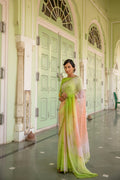Multicolor Hand Embroidered Mirror Work Chiffon Saree