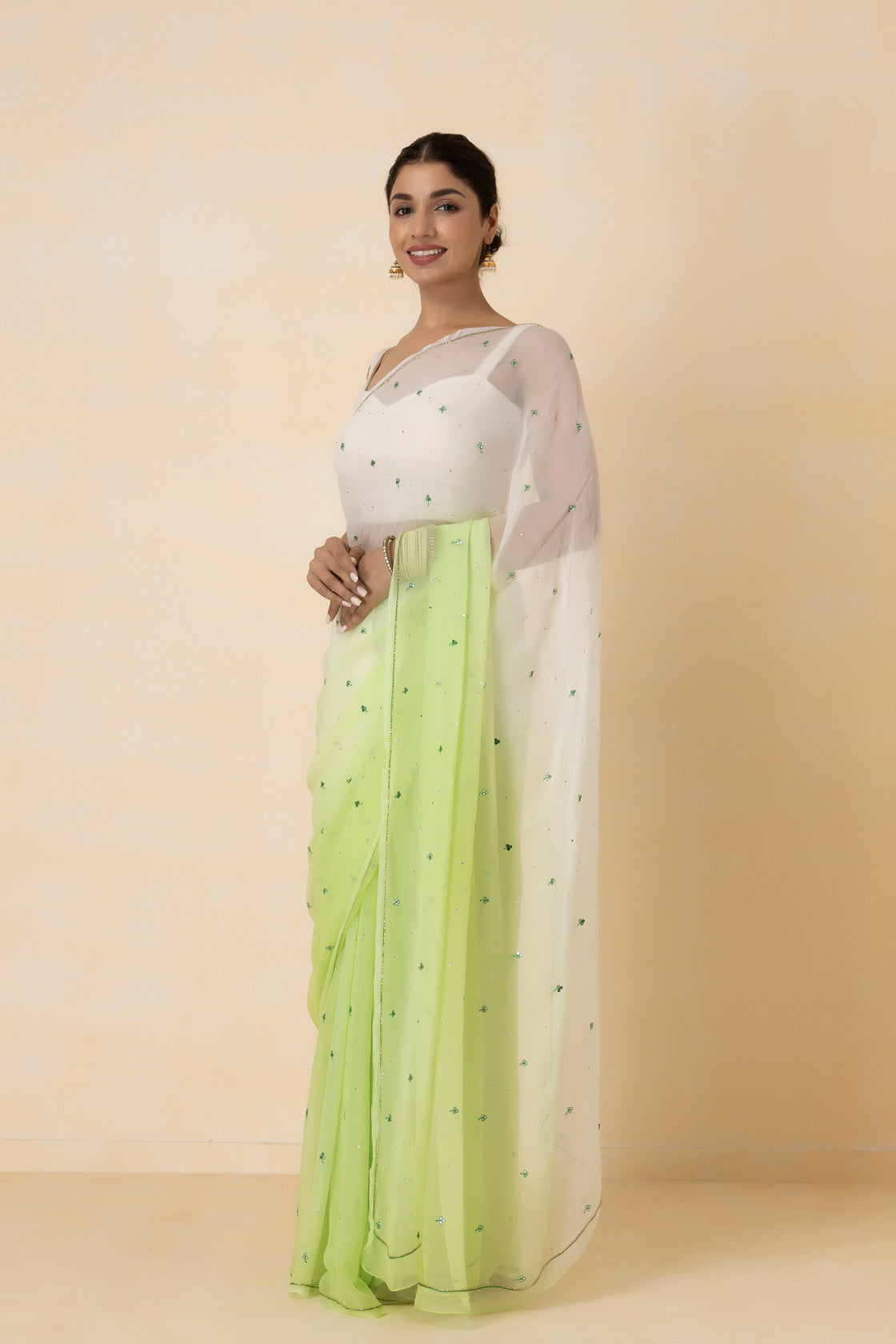 Pastel Green Shaded Hand-Embroidered Chiffon Saree