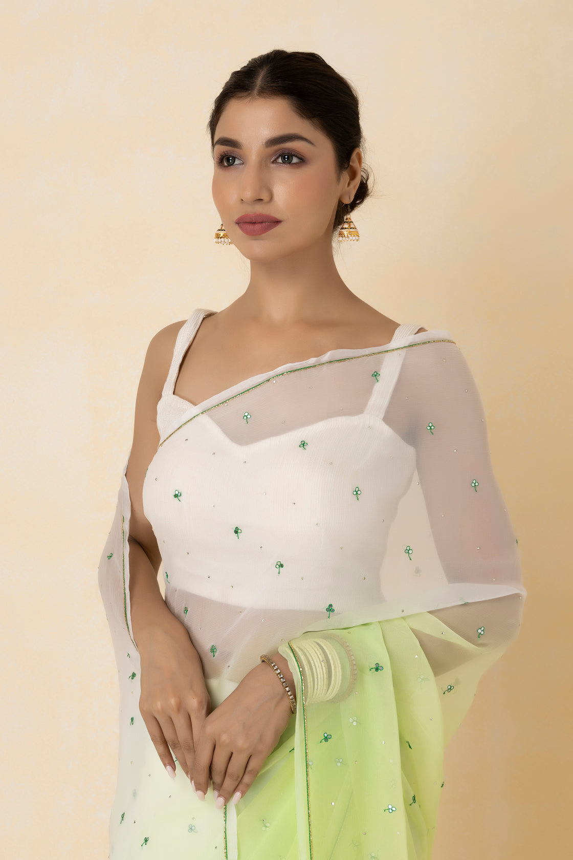 Pastel Green Shaded Hand-Embroidered Chiffon Saree