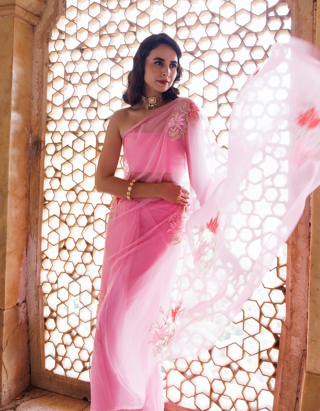 Tripti Dimri In Pink Handcrafted Aari-Sequins Chiffon Saree