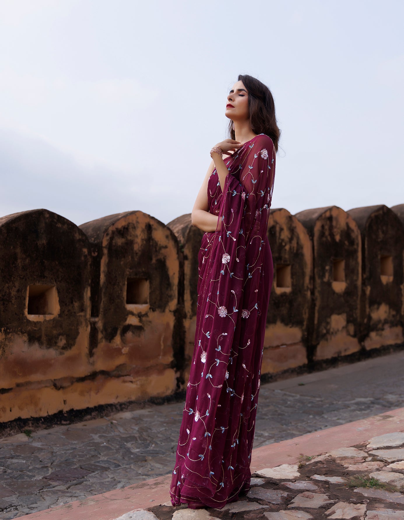 Plum Hand Embroidered Sequins-Tube Jaal Chiffon Saree