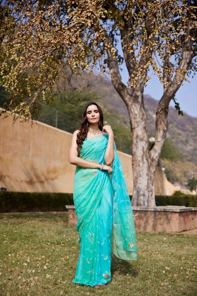 Green-Blue Shaded Hand Embroidered Jaal Chiffon Saree