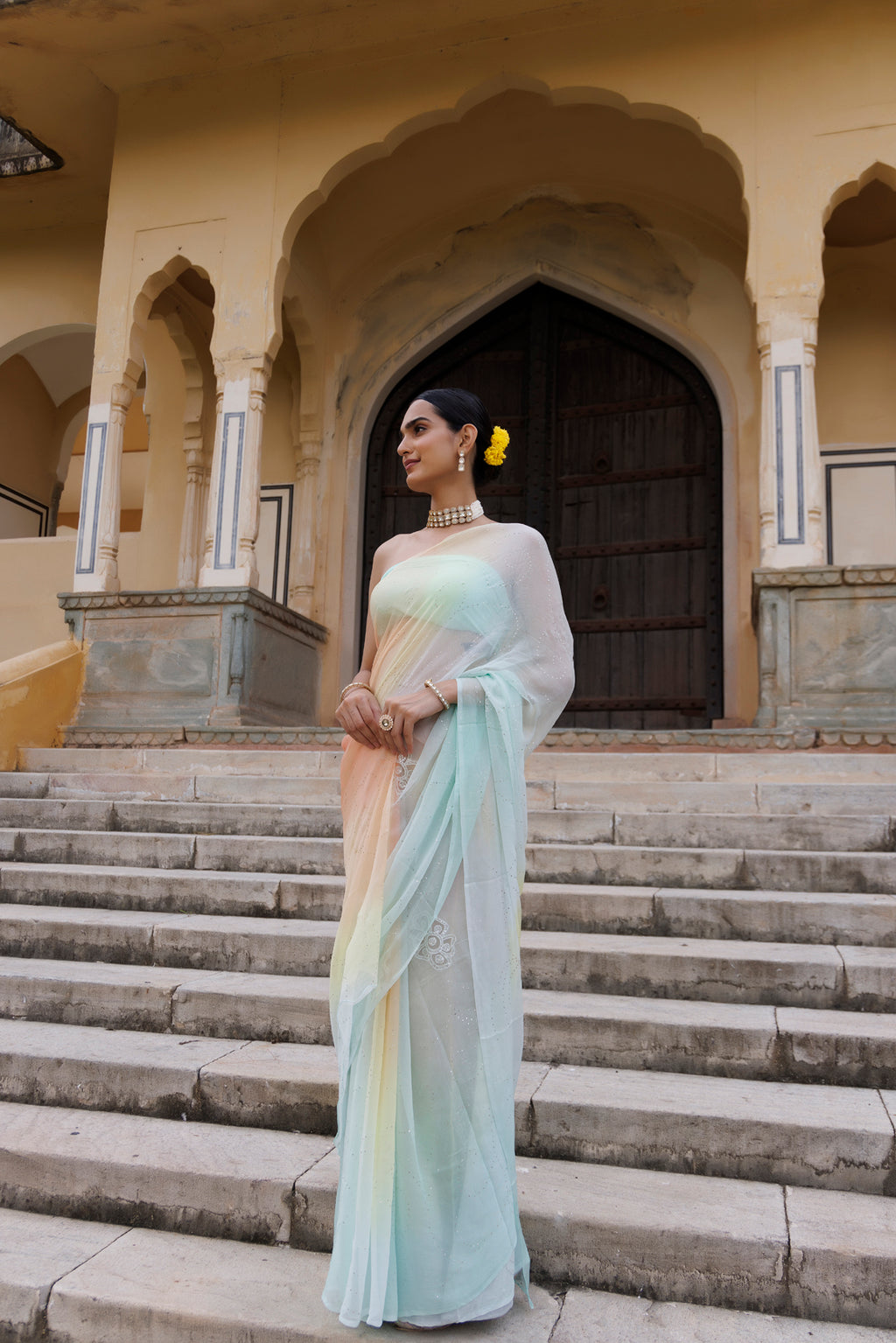 Multi Shaded Hand Embroidered Mukaish Jaal Chiffon Saree