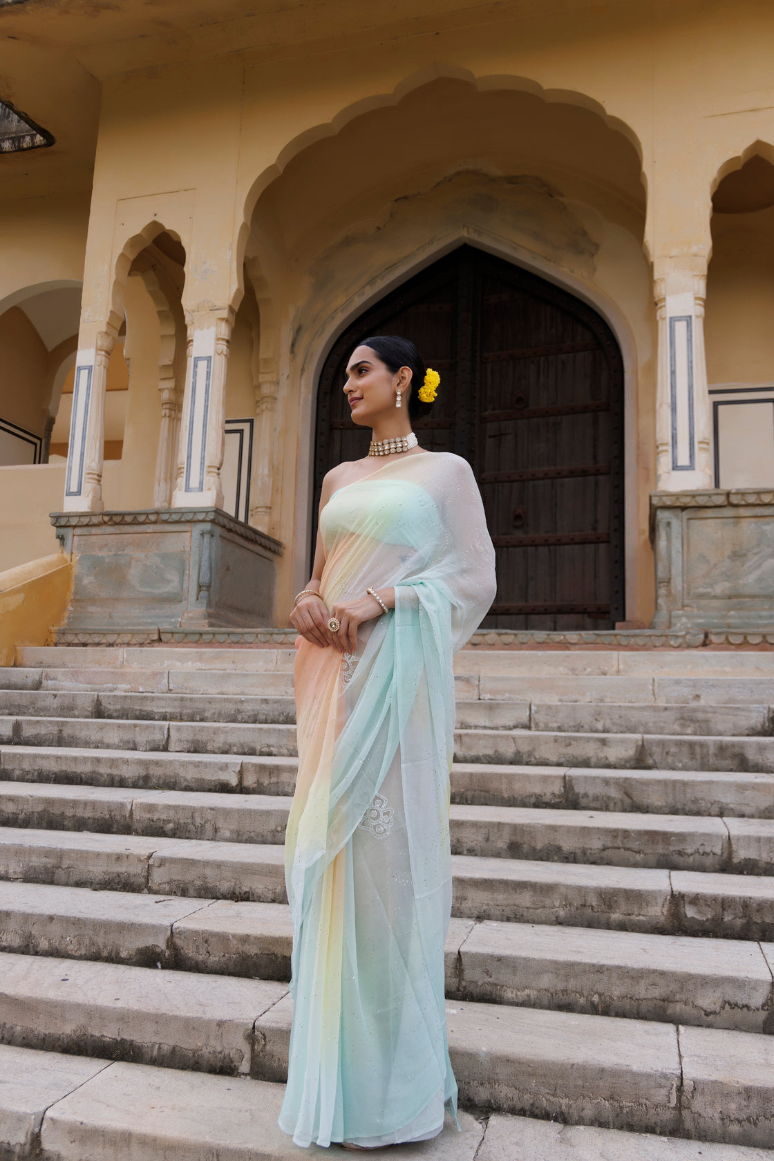 Multi Shaded Hand Embroidered Mukaish Jaal Chiffon Saree