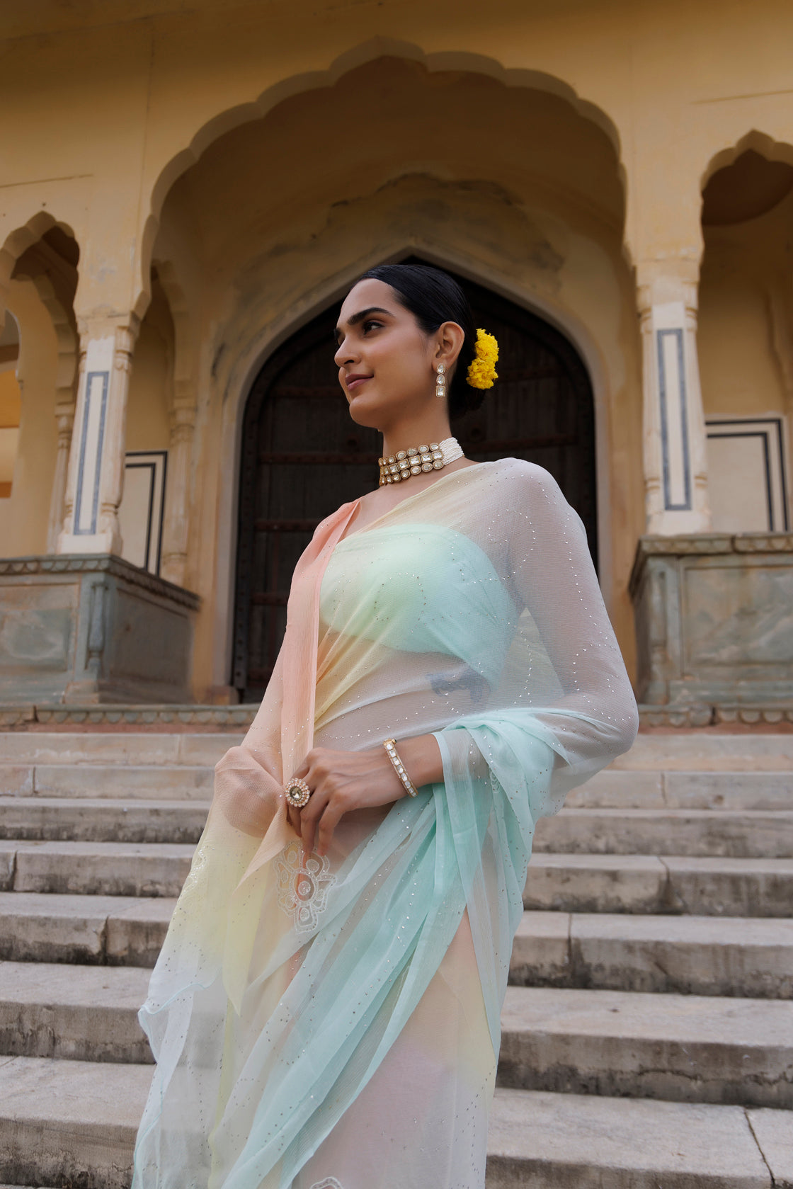 Multi Shaded Hand Embroidered Mukaish Jaal Chiffon Saree