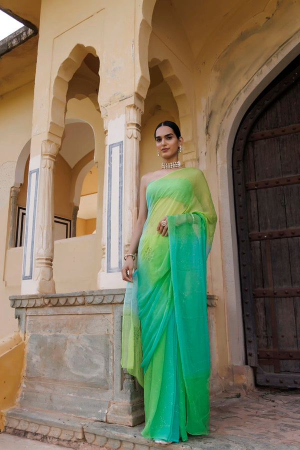 Green Shaded Hand Embroidered Mukaish jaal Chiffon Saree
