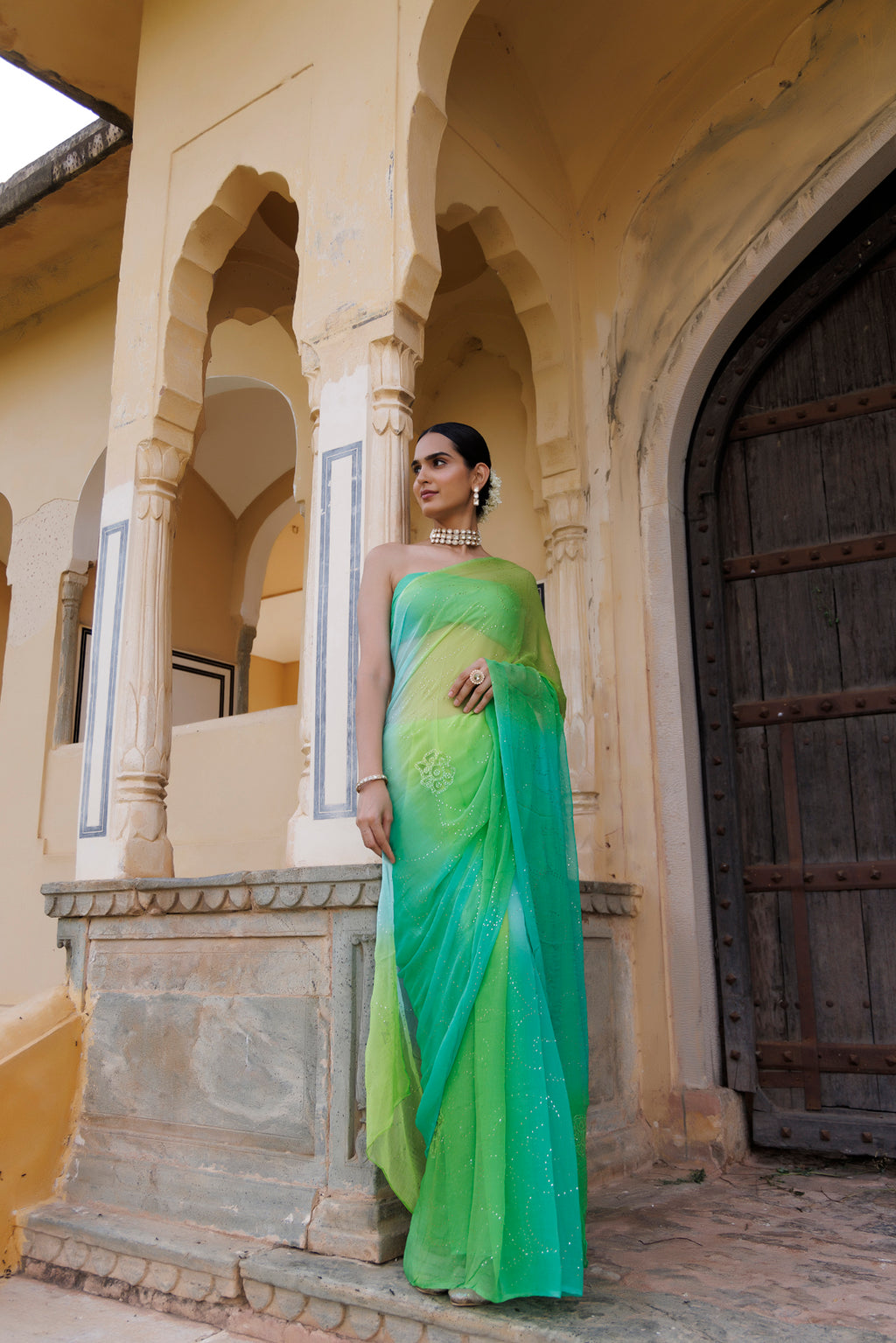 Green Shaded Hand Embroidered Mukaish Jaal Chiffon Saree