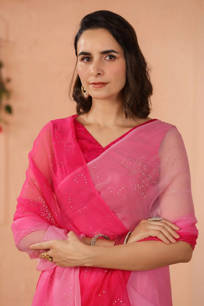 Shaded Pink Hand Embroidered Mukaish Jaal Chiffon Saree