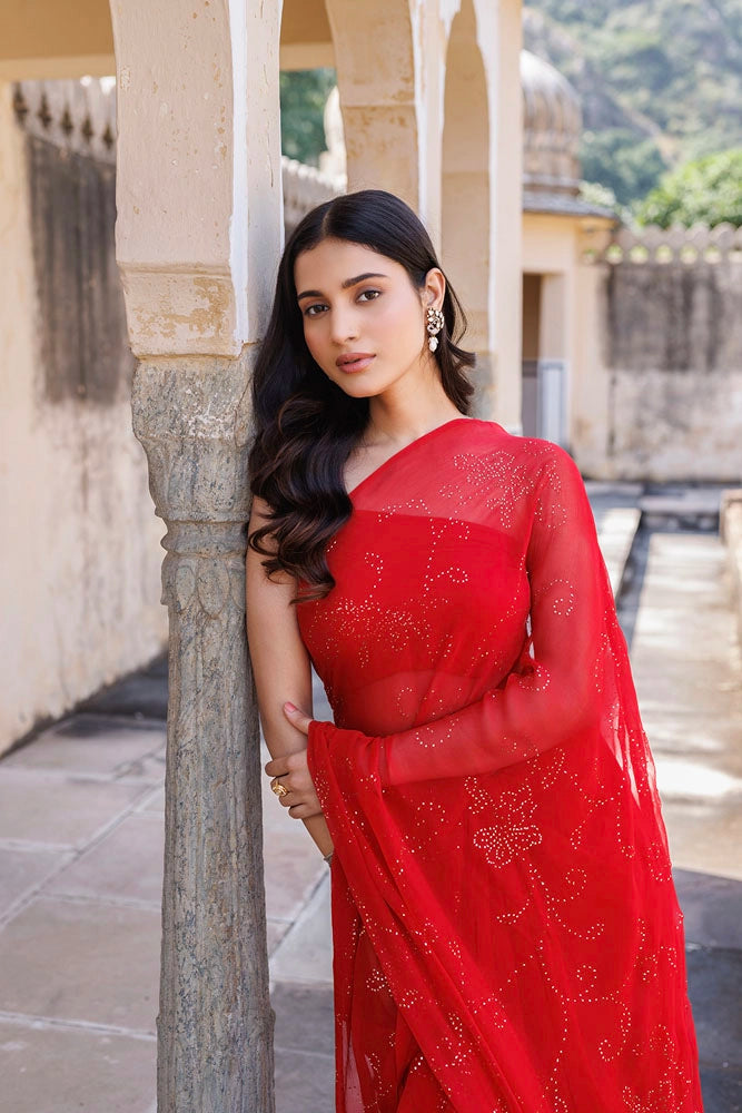 Red Hand Embroidered Mukaish Jaal Chiffon Saree