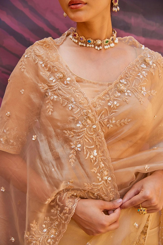 Antique Gold Pure Tissue Saree with Zardozi work