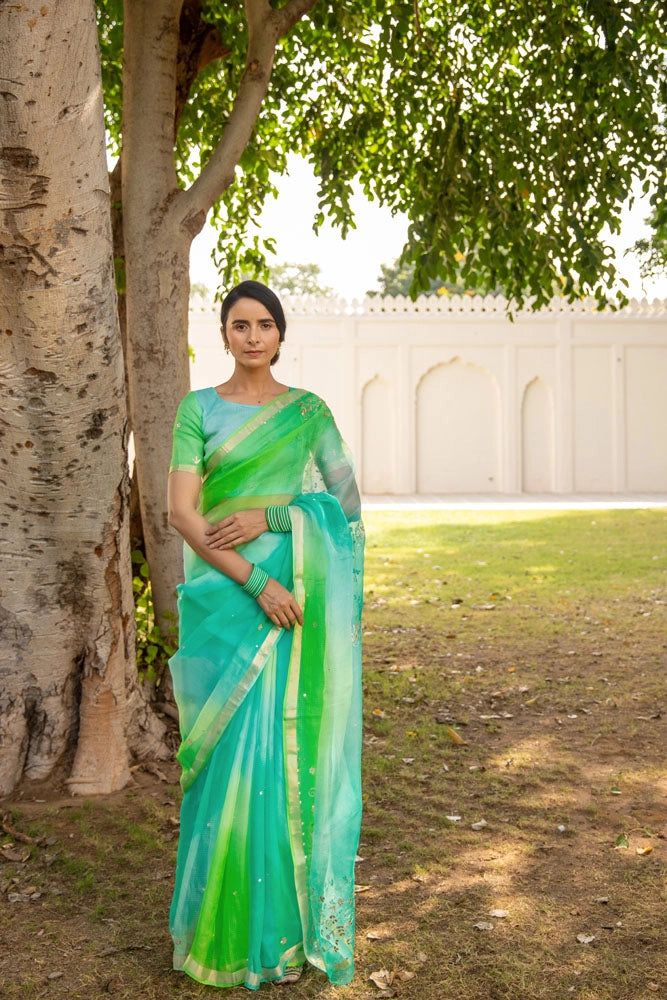 Tritpi Dimri in Shaded Peacock Pure Kota Silk Handcrafted Saree