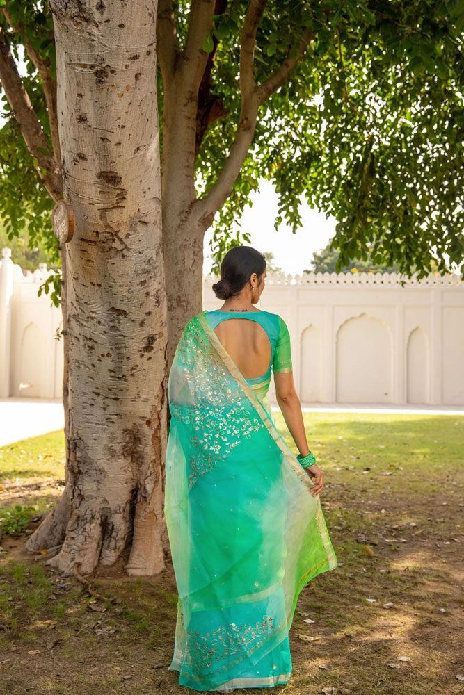 Tritpi Dimri in Shaded Peacock Pure Kota Silk Handcrafted Saree