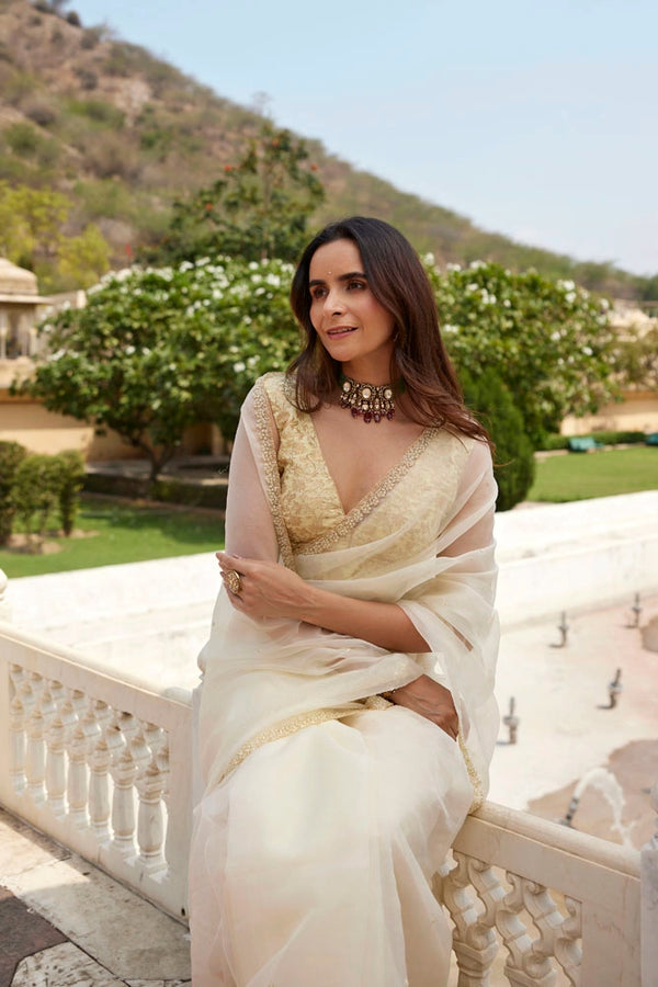 Pastel cream organza hand embroidered saree